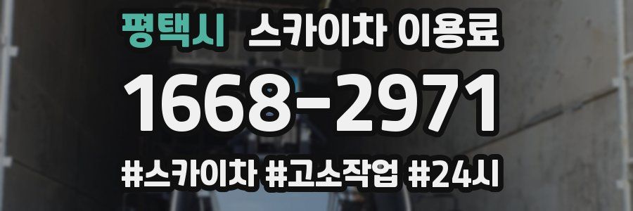 평택시 스카이차 이용료