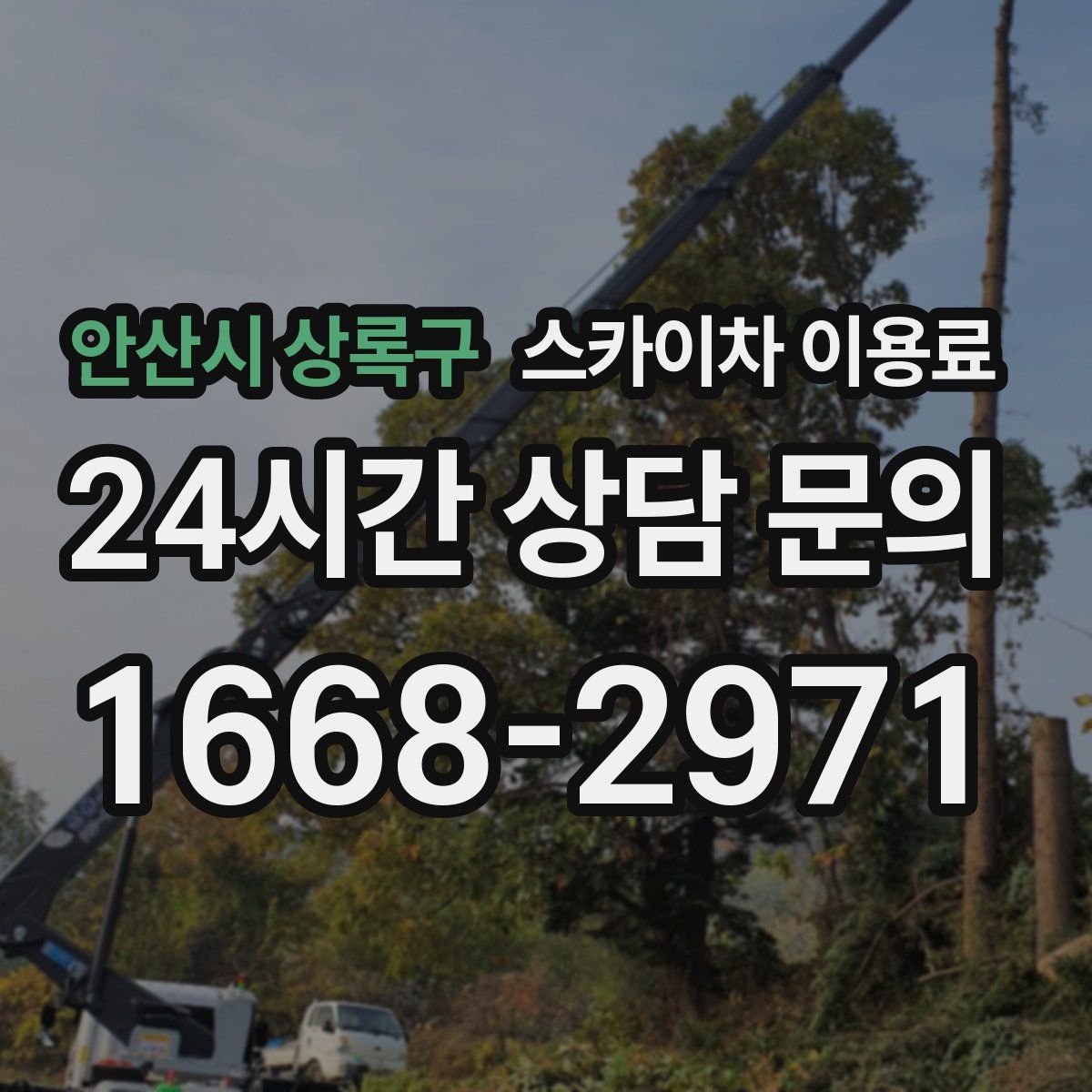 안산시 상록구 스카이차 이용료