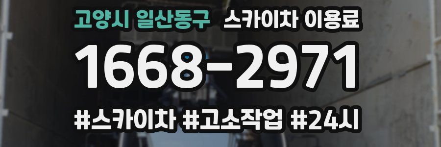 고양시 일산동구 스카이차 이용료