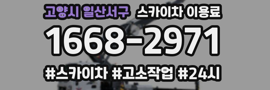 고양시 일산서구 스카이차 이용료