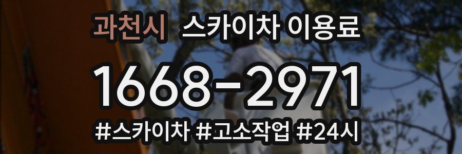 과천시 스카이차 이용료