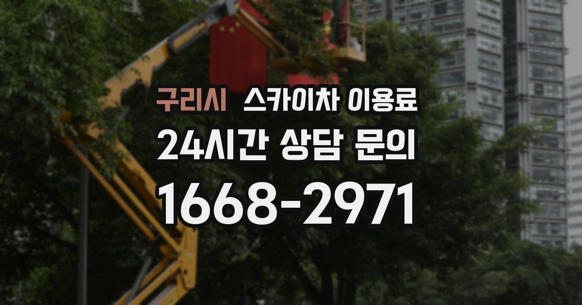 구리시 스카이차 이용료