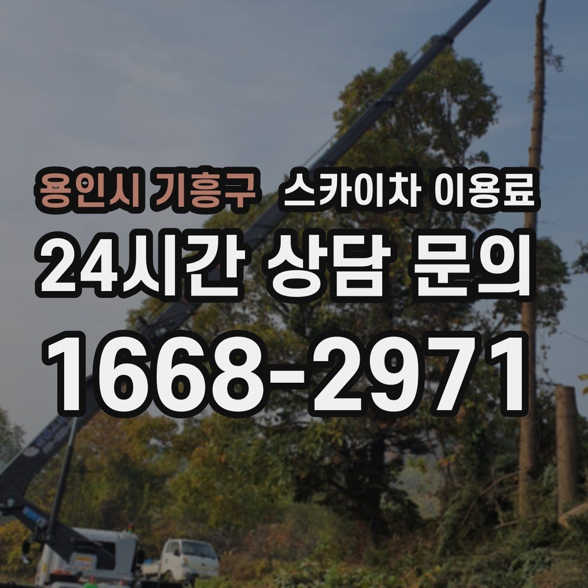 용인시 기흥구 스카이차 이용료 문의 전 정리하면 좋은 정보