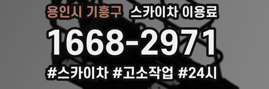 용인시 기흥구 스카이차 이용료
