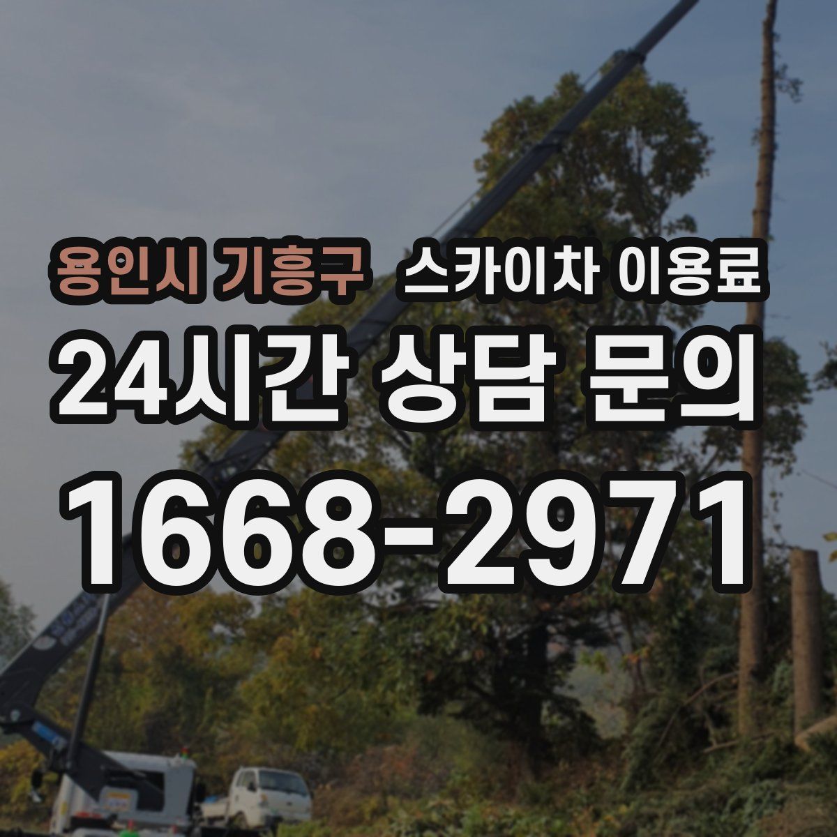용인시 기흥구 스카이차 이용료