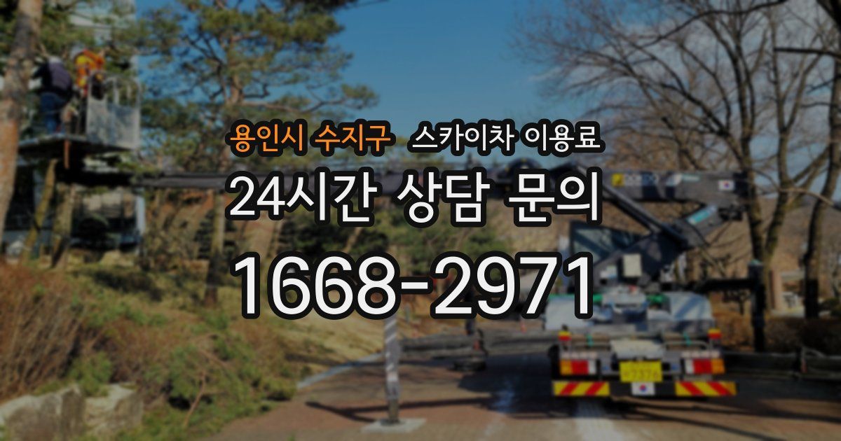 용인시 수지구 스카이차 이용료