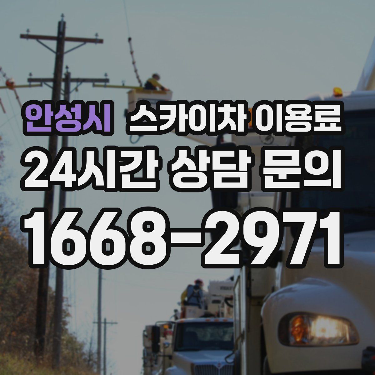 안성시 스카이차 이용료