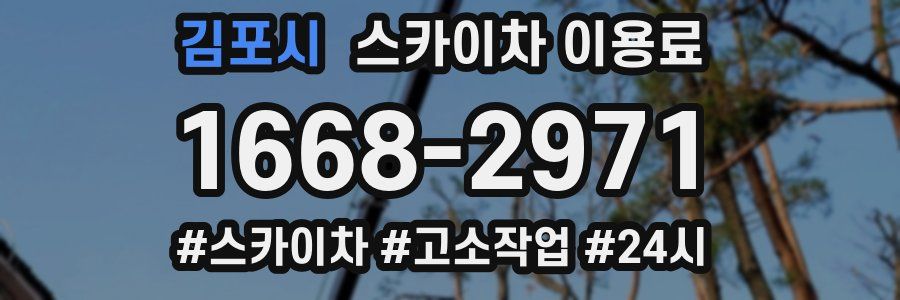 김포시 스카이차 이용료