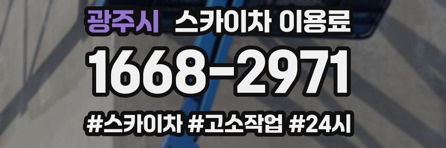 광주시 스카이차 이용료