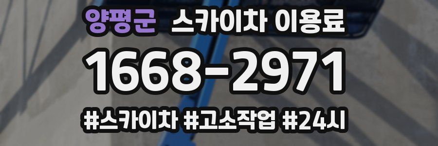 양평군 스카이차 이용료
