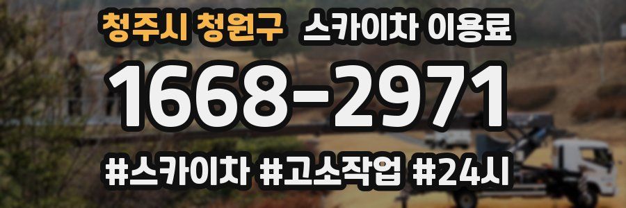 청주시 청원구 스카이차 이용료
