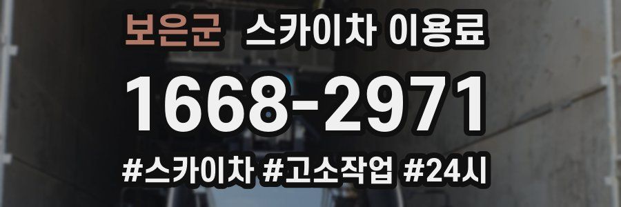 보은군 스카이차 이용료