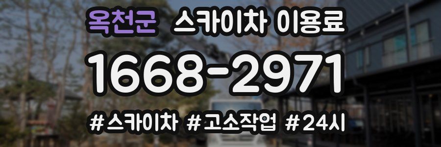 옥천군 스카이차 이용료