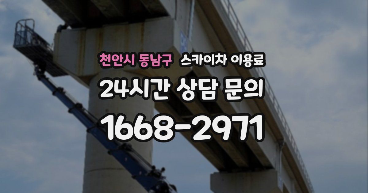 천안시 동남구 스카이차 이용료
