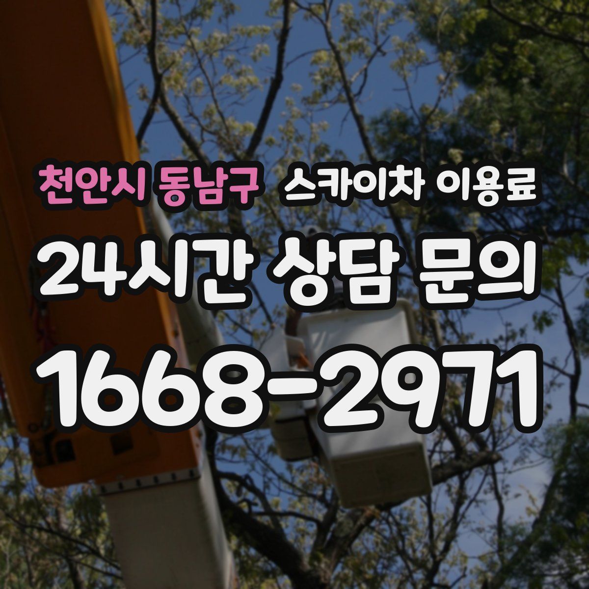 천안시 동남구 스카이차 이용료