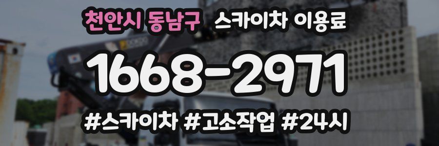 천안시 동남구 스카이차 이용료