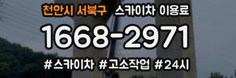 천안시 서북구 스카이차 이용료