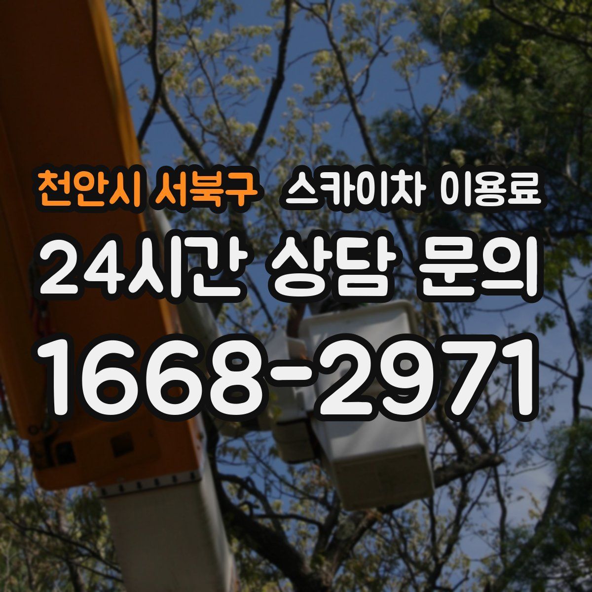 천안시 서북구 스카이차 이용료
