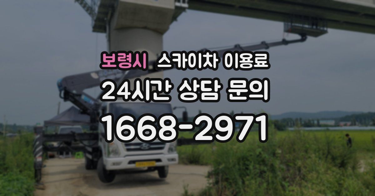 보령시 스카이차 이용료