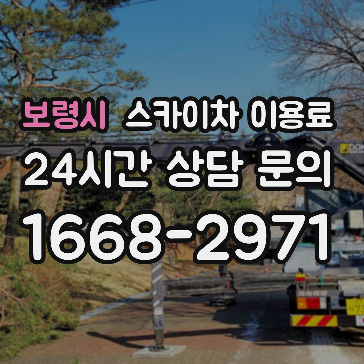 보령시 스카이차 이용료
