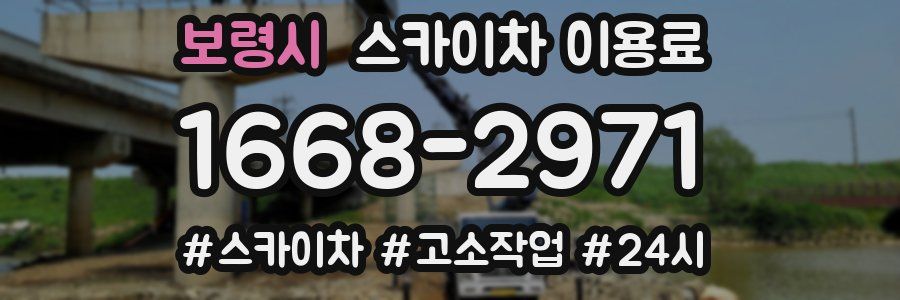 보령시 스카이차 이용료