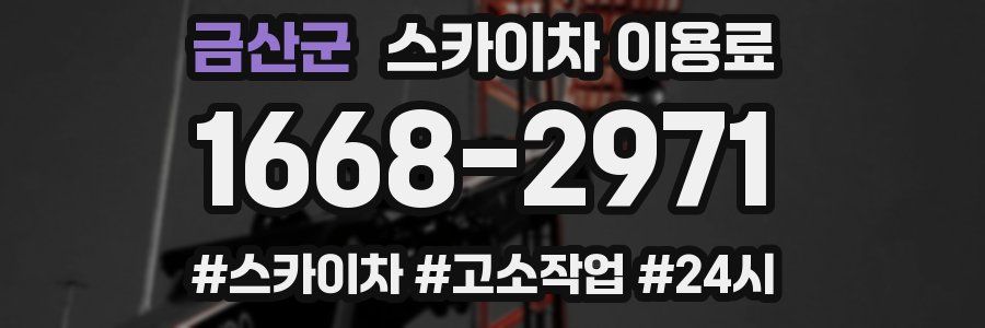 금산군 스카이차 이용료