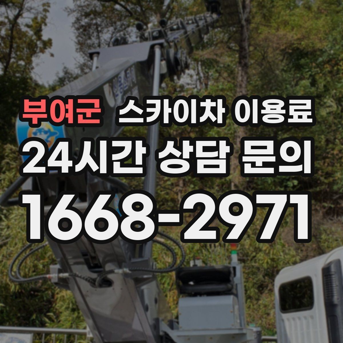 부여군 스카이차 이용료 상승 요인과 대응 방법