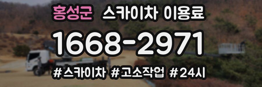 홍성군 스카이차 이용료