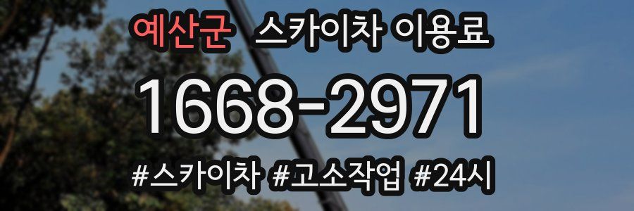 예산군 스카이차 이용료