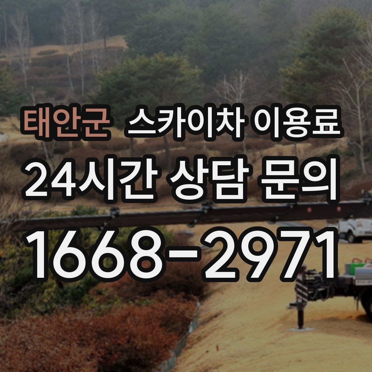 태안군 스카이차 이용료