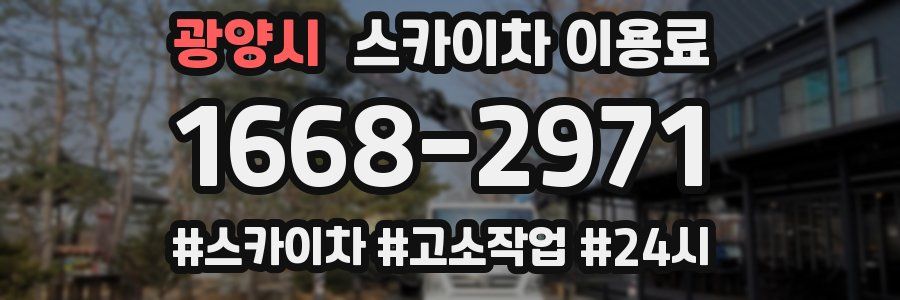 광양시 스카이차 이용료