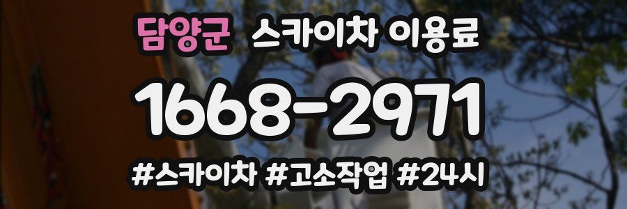 담양군 스카이차 이용료