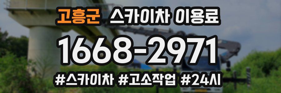 고흥군 스카이차 이용료