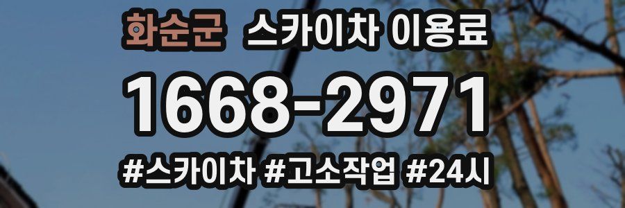 화순군 스카이차 이용료