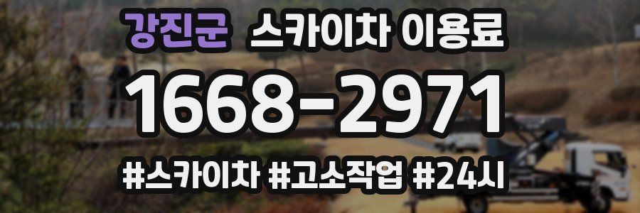 강진군 스카이차 이용료