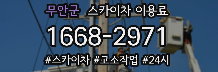 무안군 스카이차 이용료