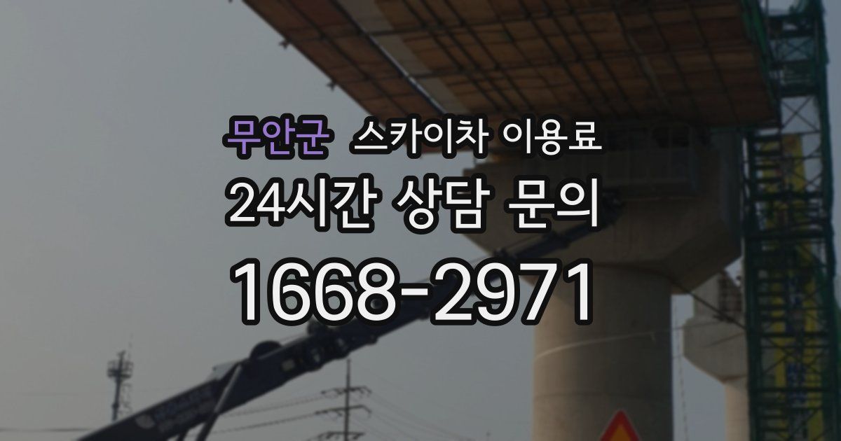 무안군 스카이차 이용료
