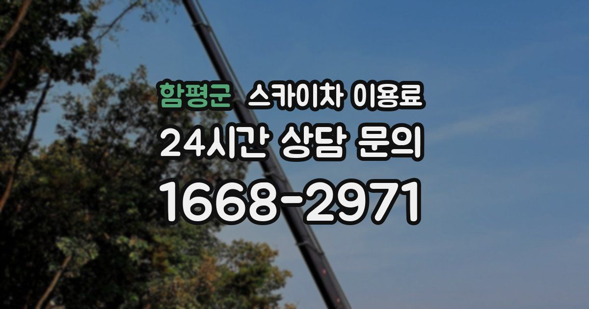 함평군 스카이차 이용료