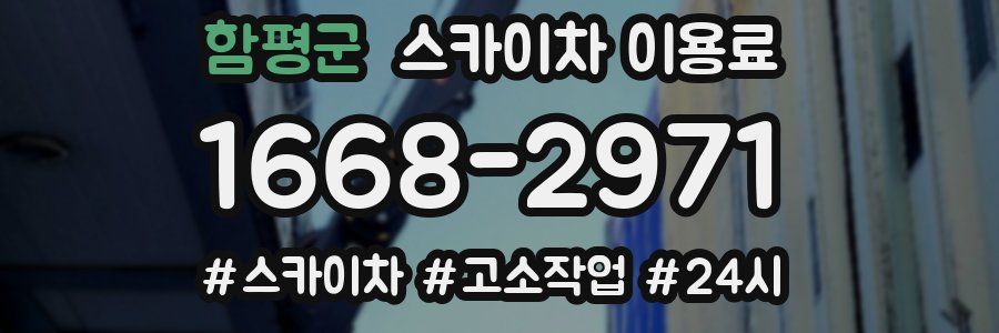 함평군 스카이차 이용료