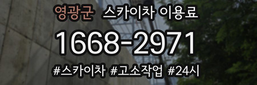영광군 스카이차 이용료
