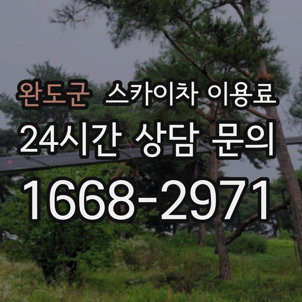 완도군 스카이차 이용료