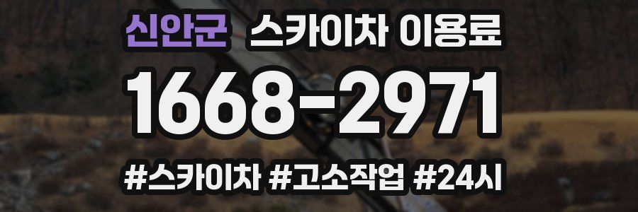 신안군 스카이차 이용료