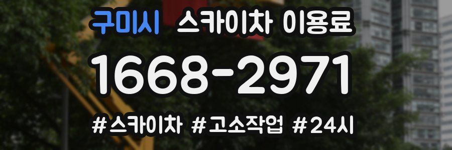 구미시 스카이차 이용료