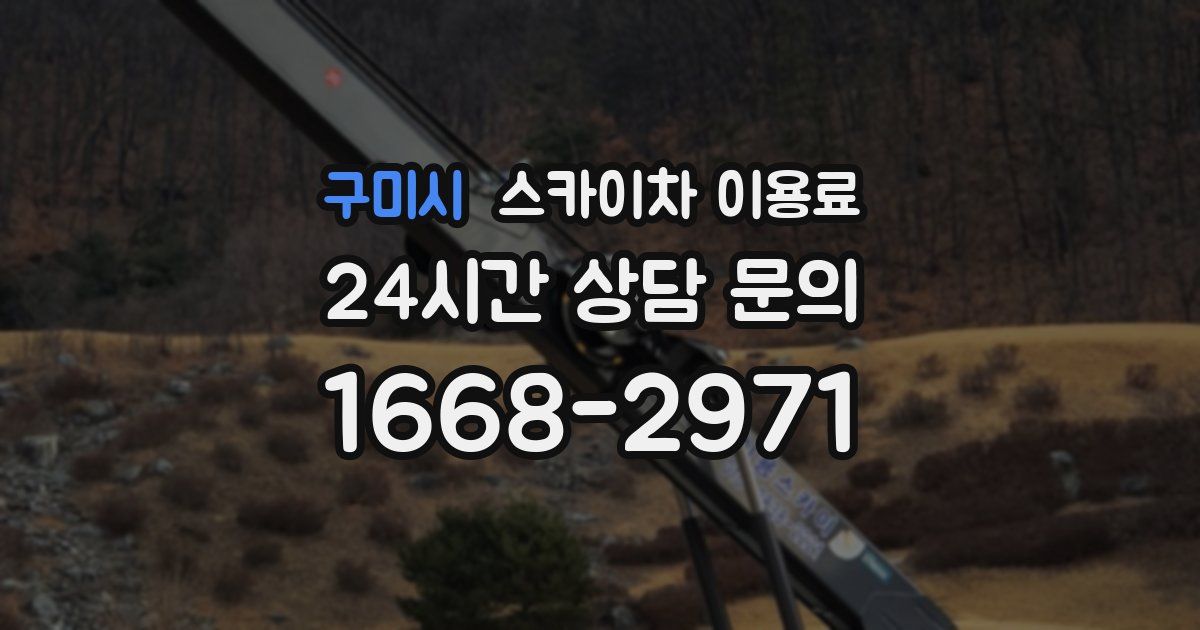 구미시 스카이차 이용료