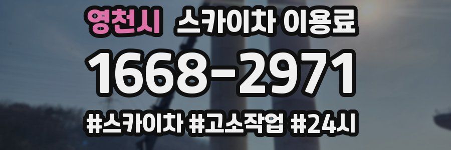 영천시 스카이차 이용료