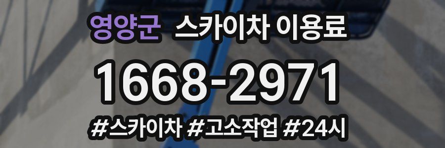 영양군 스카이차 이용료