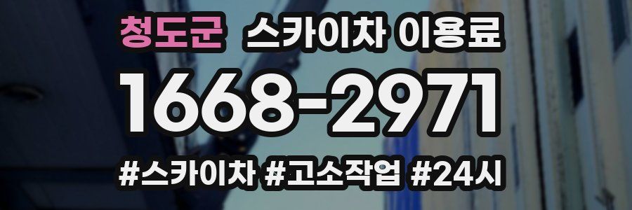 청도군 스카이차 이용료