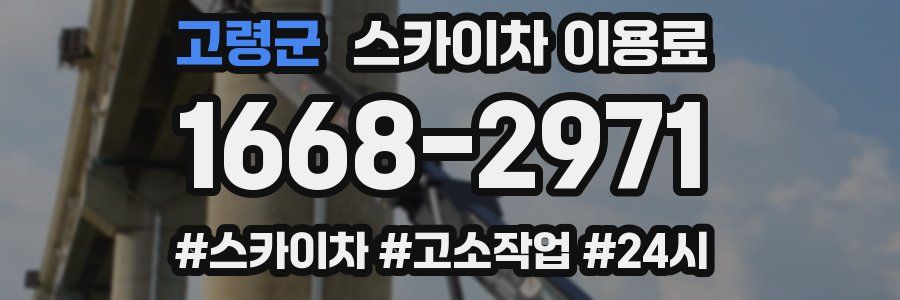 고령군 스카이차 이용료