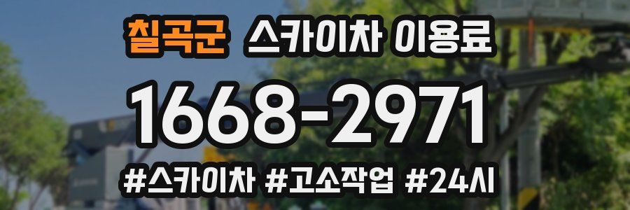 칠곡군 스카이차 이용료