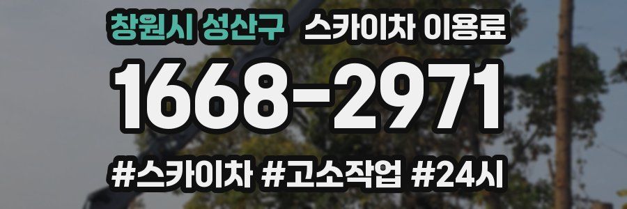 창원시 성산구 스카이차 이용료